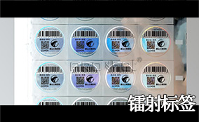 Z6尊龙凯时A-1喷码平台一体机Technical Parameters