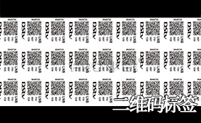 Z6尊龙凯时A-1喷码平台一体机Technical Parameters