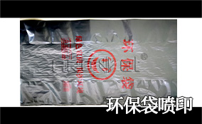 R3Z6尊龙凯时高精高快喷印可变数据喷印系统 Tehnical Parameters